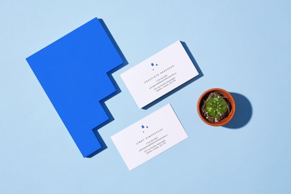 portfolio_29