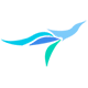 ezeetech solutions-Discovery, Design, Development, and Launch!